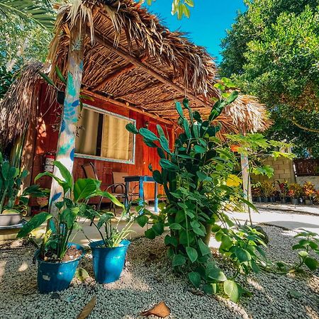 Hotel & Suites Oasis バカラル エクステリア 写真